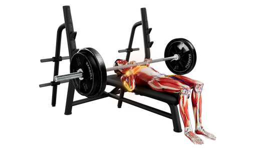 Barbell Close Grip Bench Press