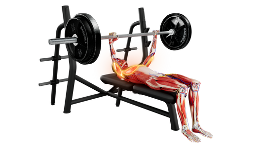 Barbell Bench Press