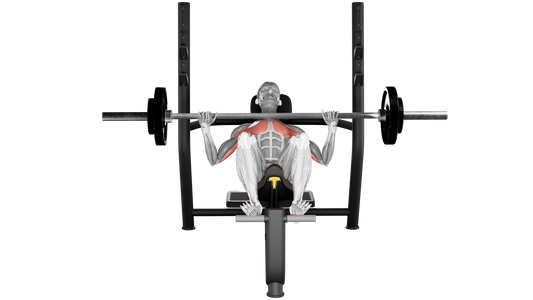 Barbell Bench Press - Incline