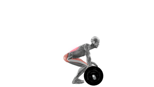 Barbell Deadlift