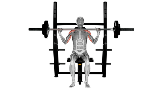 Barbell Shoulder Press