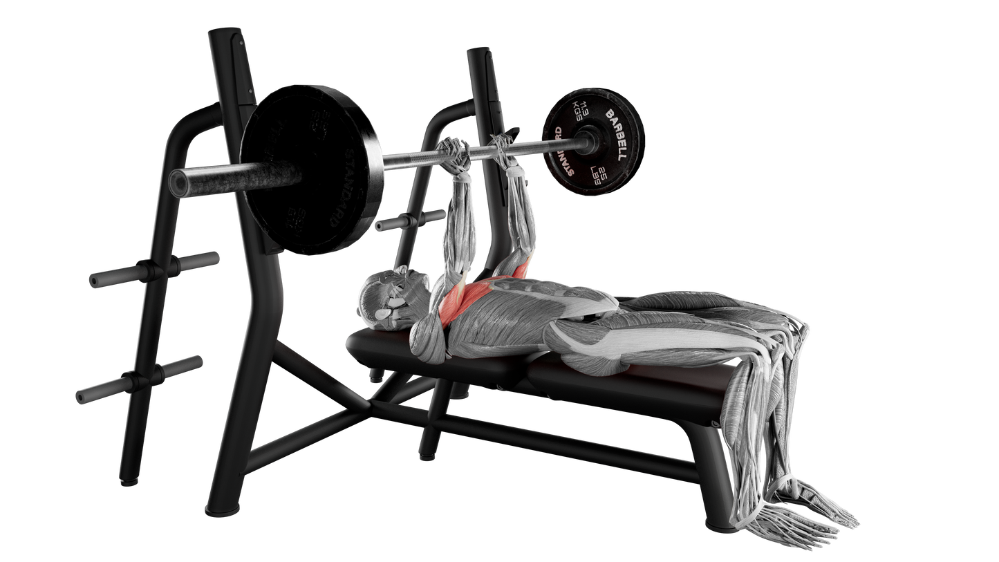 Barbell Close Grip Bench Press