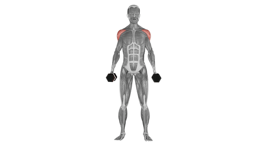 Dumbbell Side Raise