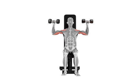 Dumbbell Shoulder Press