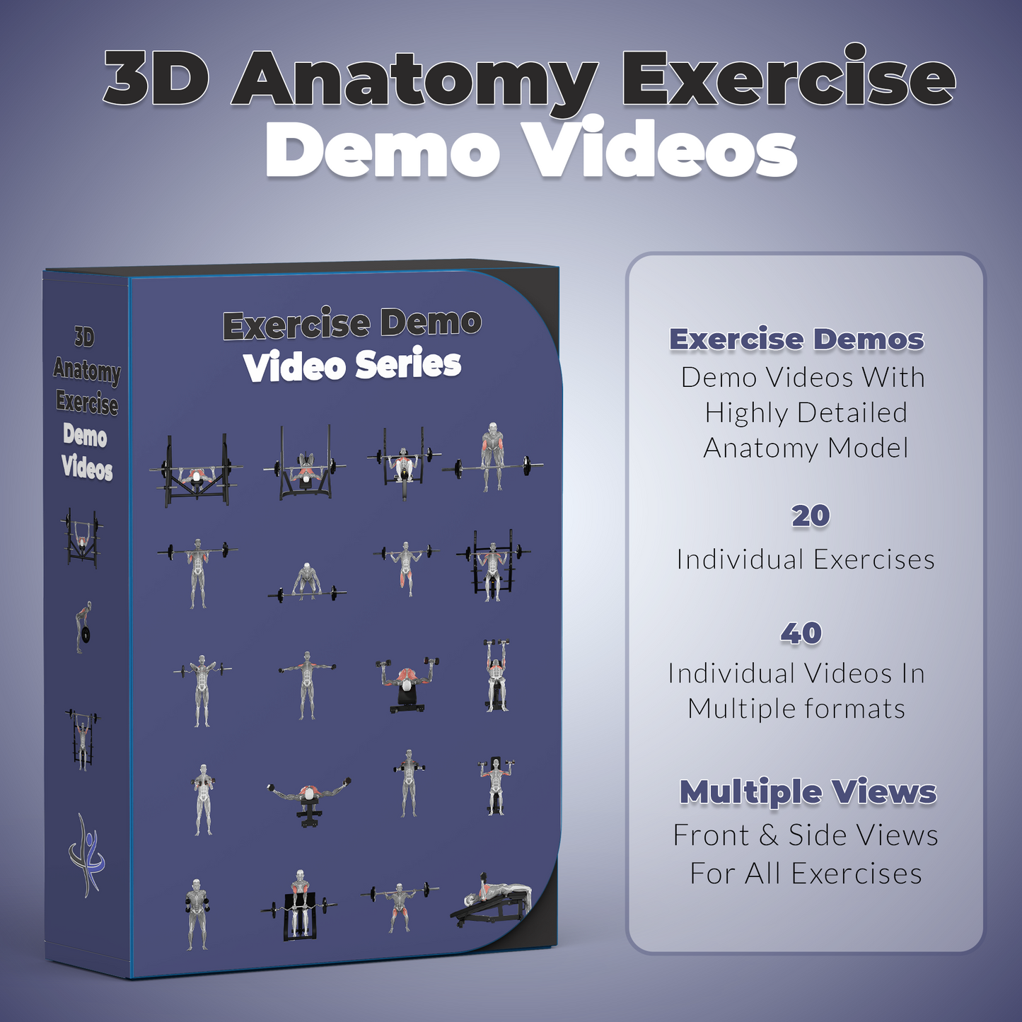 3d Anatomy Exercise Demo Bundle