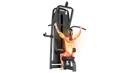 Lat Pulldown