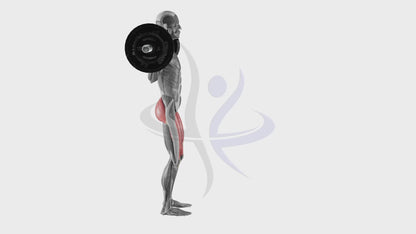 Barbell Lunge